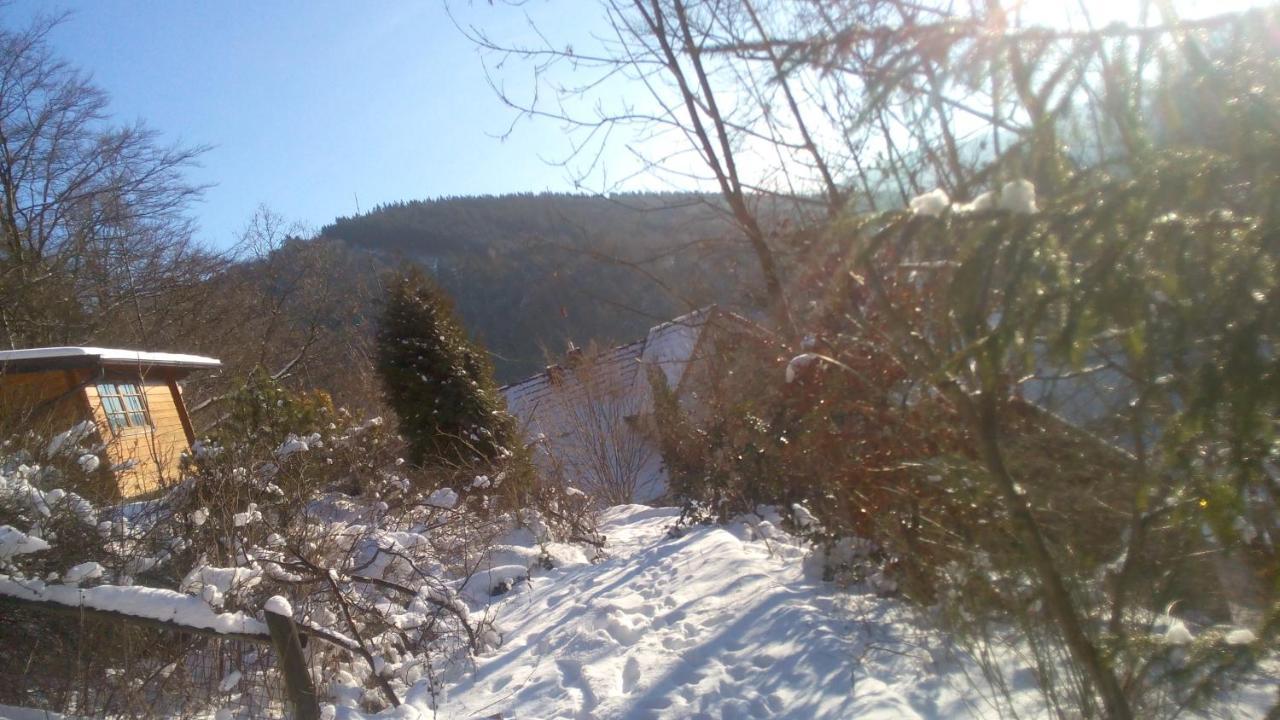Fewo Pacohaus Naehe Willingen Diemelsee Brilon Bagian luar foto