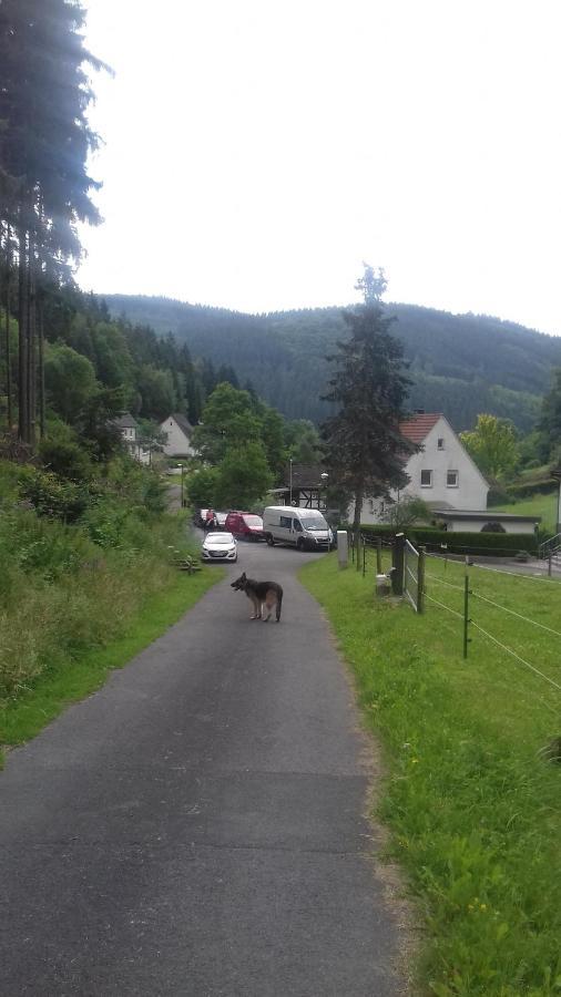 Fewo Pacohaus Naehe Willingen Diemelsee Brilon Bagian luar foto