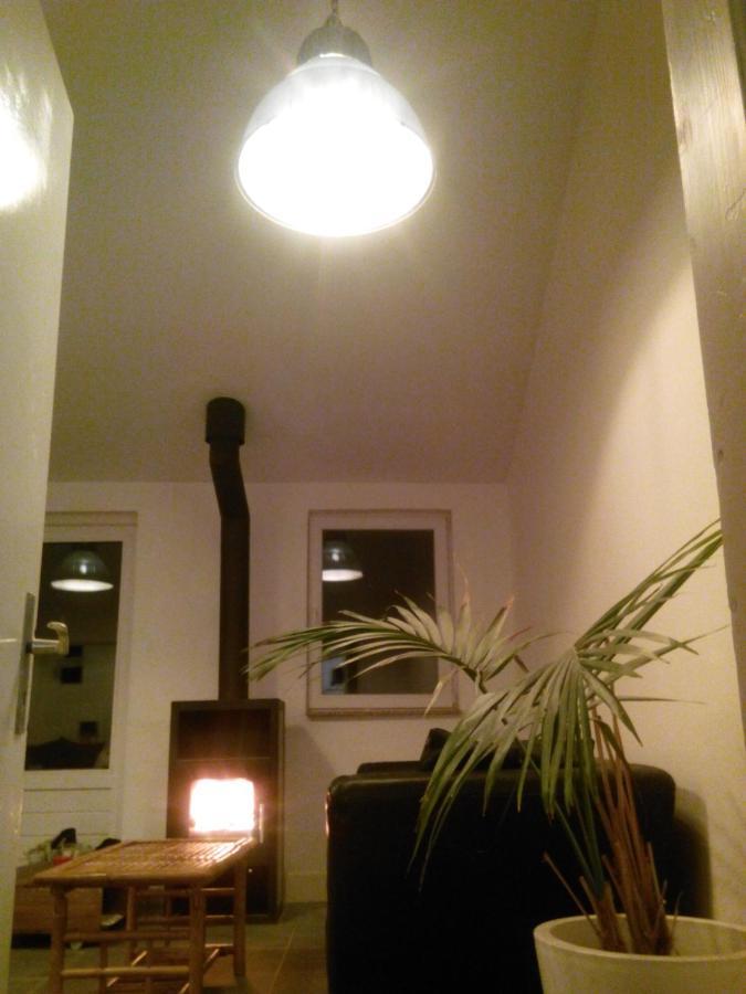 Fewo Pacohaus Naehe Willingen Diemelsee Brilon Bagian luar foto