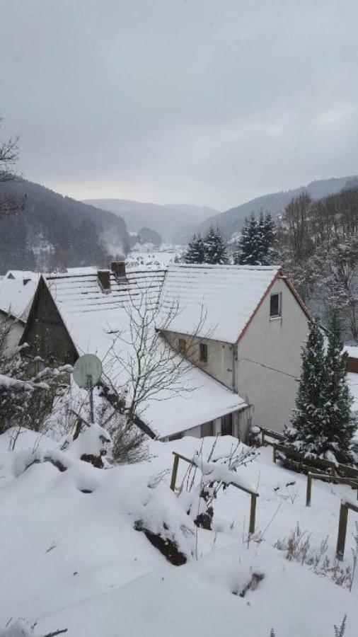 Fewo Pacohaus Naehe Willingen Diemelsee Brilon Bagian luar foto