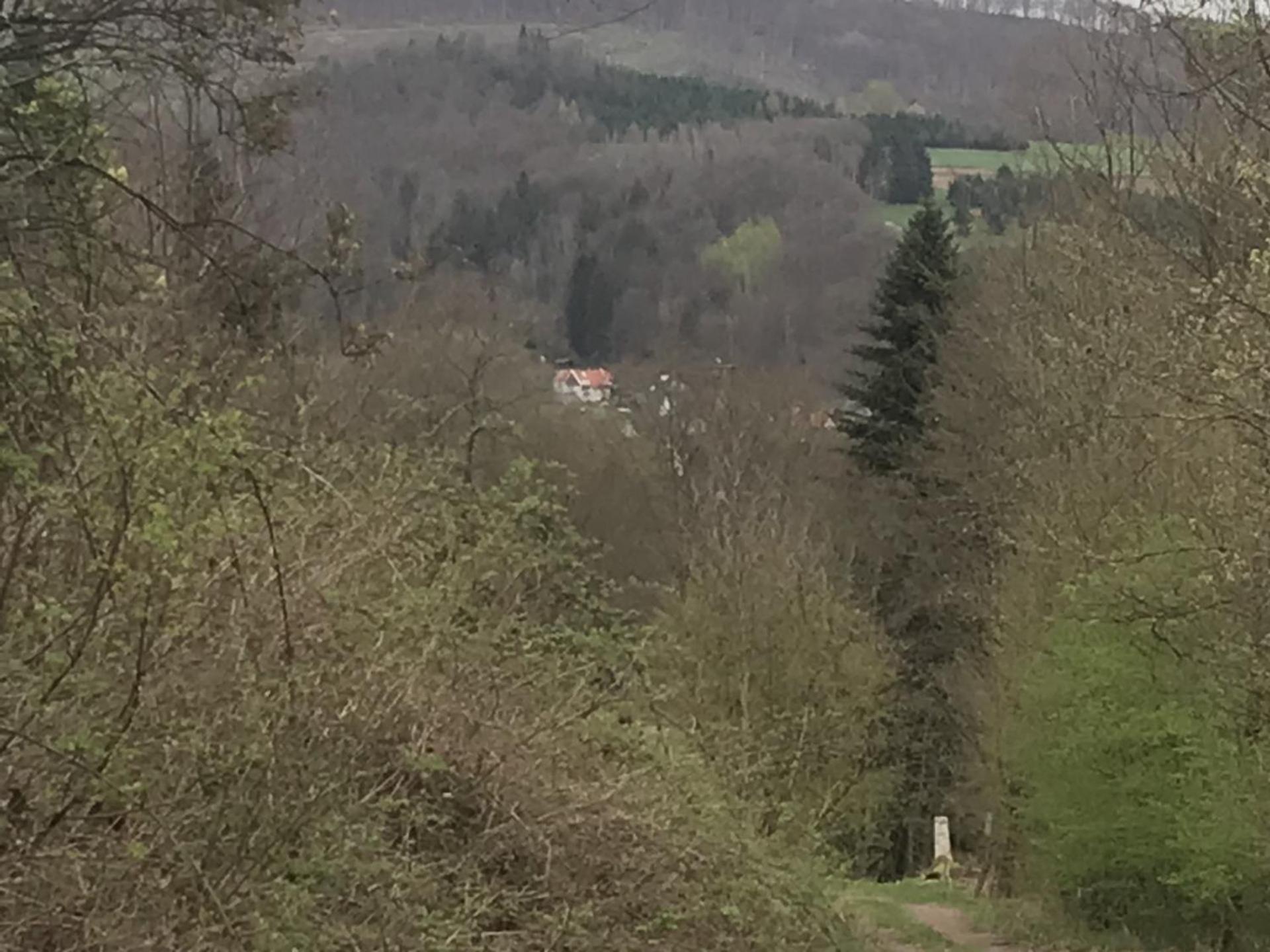 Fewo Pacohaus Naehe Willingen Diemelsee Brilon Bagian luar foto